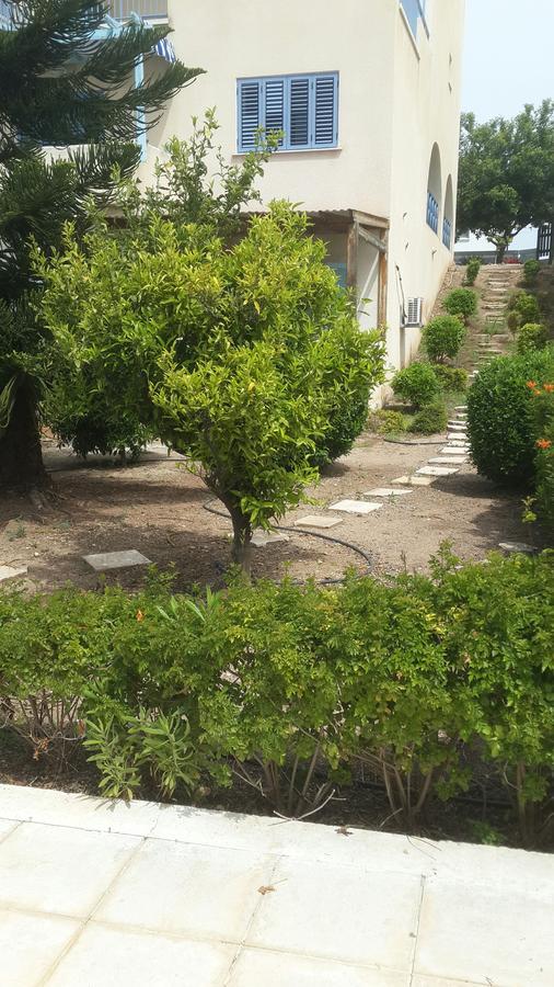 Pelagos Hill Apartment Πάφος Εξωτερικό φωτογραφία